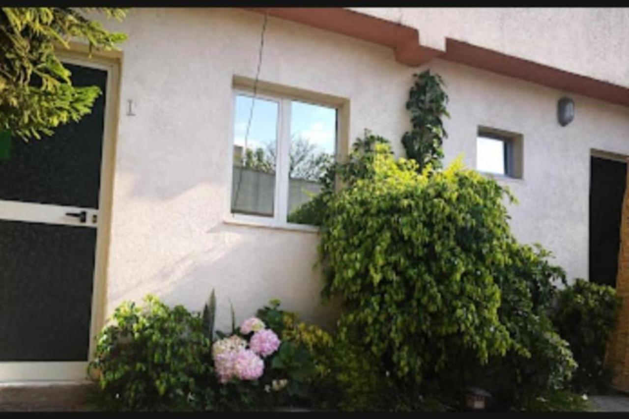 Wib Guesthouse Аддис-Абеба Экстерьер фото